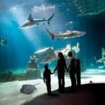 Acquario Genova