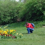 recreation-photographers-photographer-takes-picture-flowers-30363