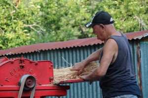 IMG_4055